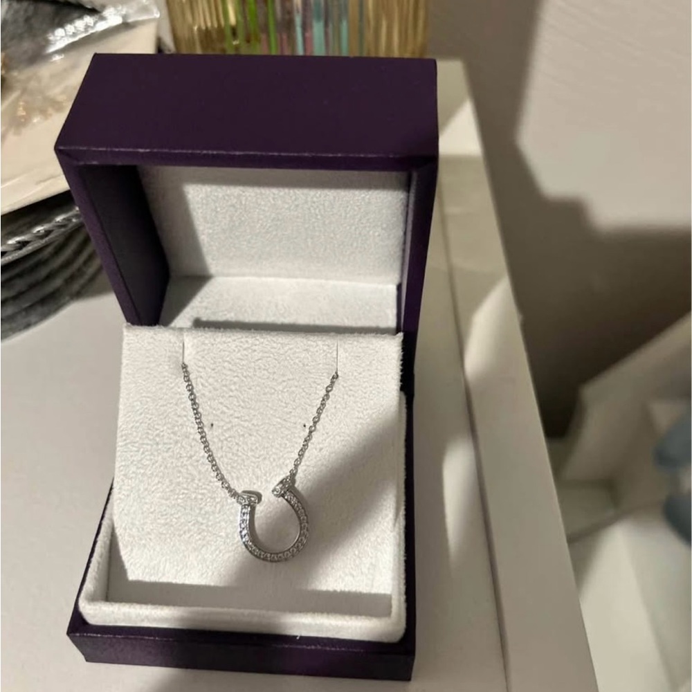 Silver Horseshoe Pendant Necklace